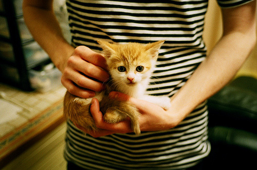 乐鱼体育在线登录-丁俊晖助球队拿下关键战斯诺克世锦赛,丁俊晖斯诺克世界锦标赛