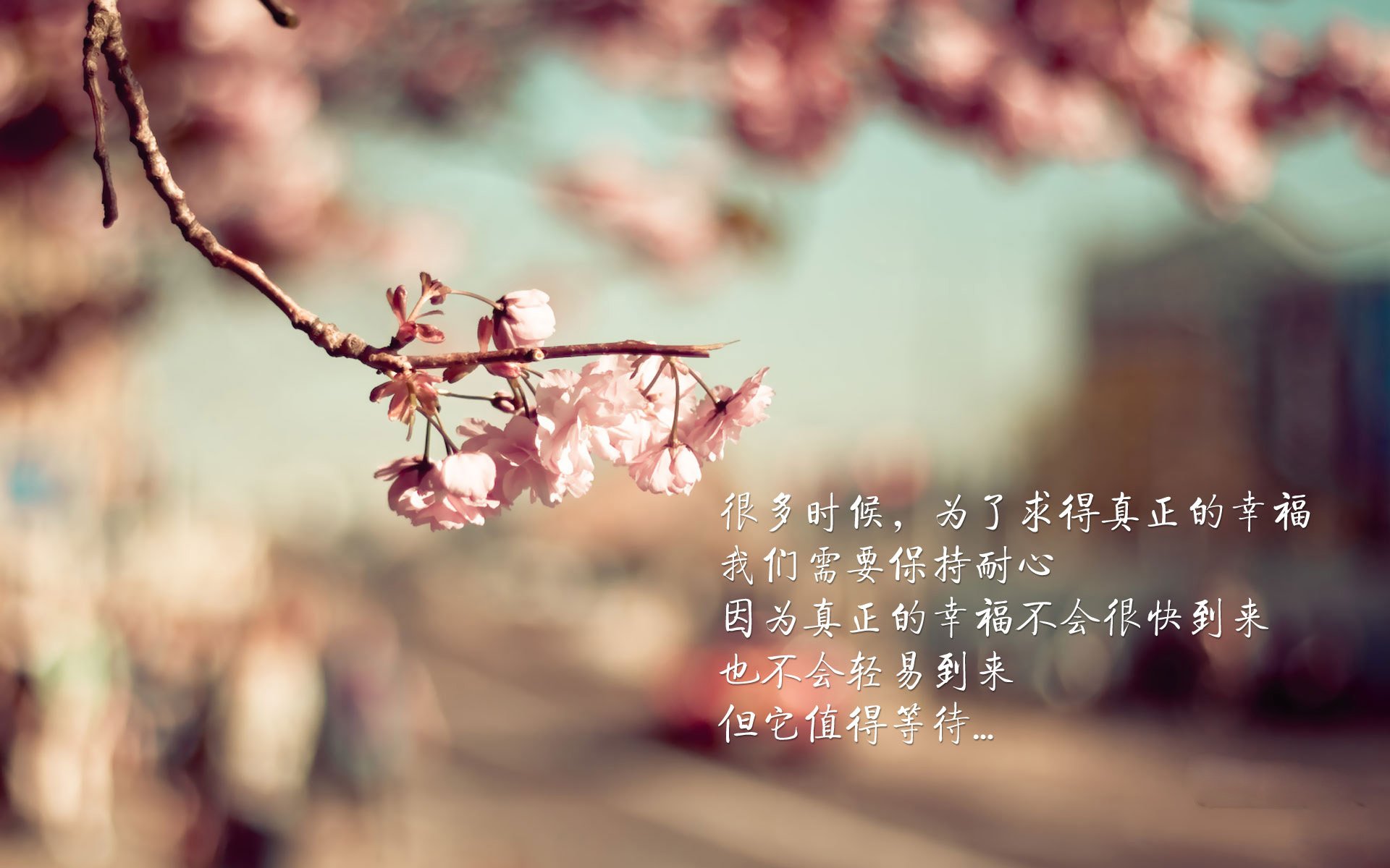 乐鱼体育入口-运动员训练效果评估体系，运动员训练强度标准