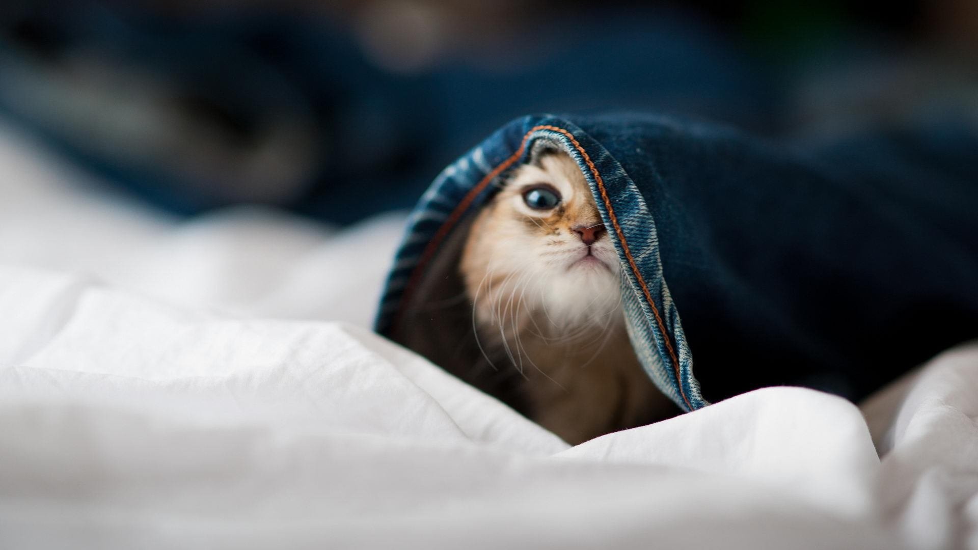 乐鱼体育平台登录-中国三人篮球男队强化篮板控制 提升二次进攻，3人篮球中国队